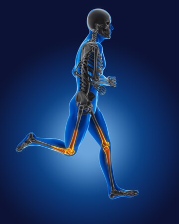 Bone density increased by Intermittent fasting